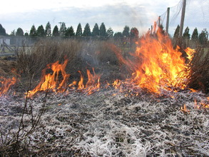 Prop Bed Burn