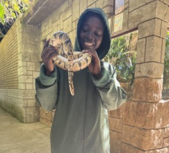 Visit of the Reptile Center