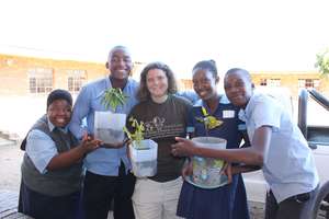 Planting trees for the classroom