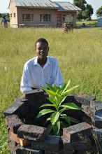 Marothi, one of the boys, with his tree!