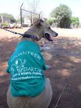 She loves her new T-shirt!