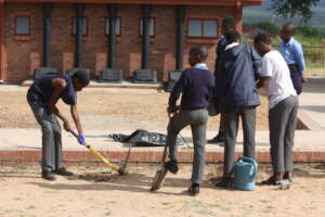 Planting trees