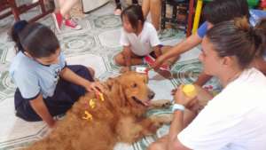 Dog therapy in Mexico
