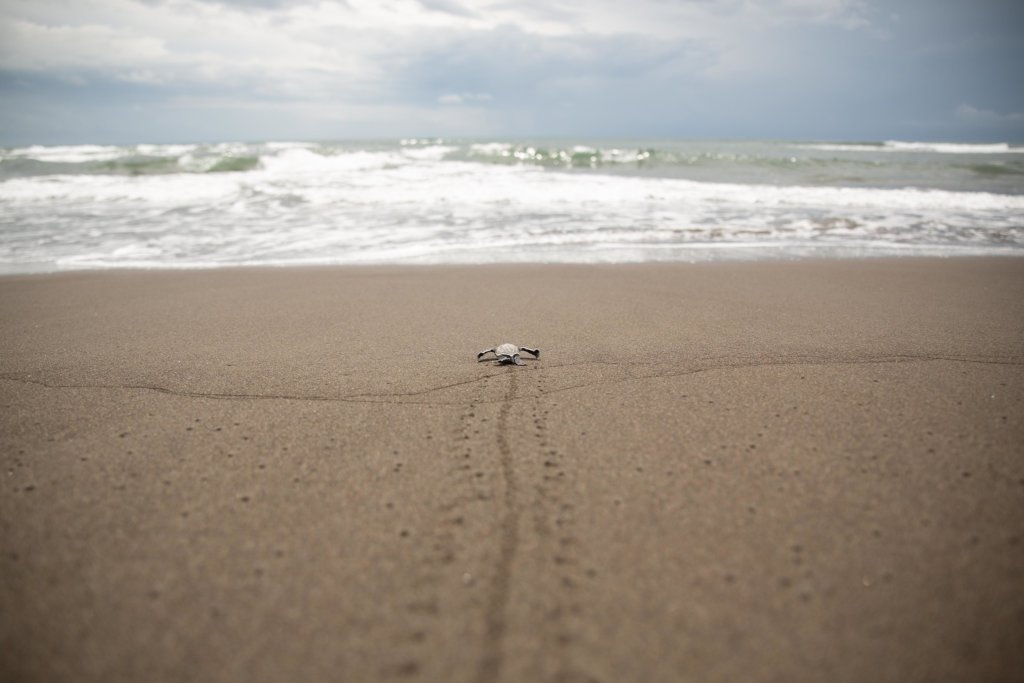 Uniting Communities, Tackle Global Issues