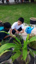 Enn is learning to recognise plants