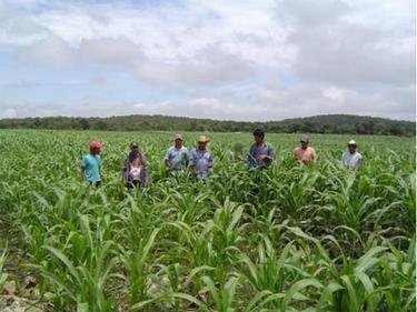 Promote Sustainable Agriculture in Chiapas, Mexico
