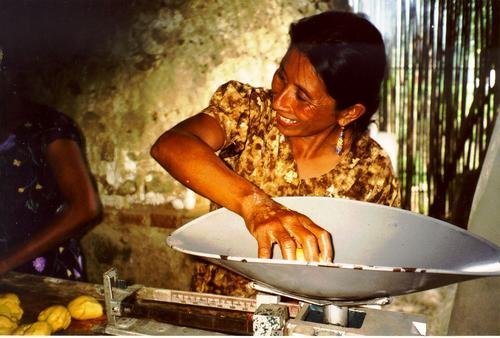 Promote Sustainable Agriculture in Chiapas, Mexico