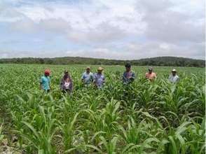 DESMI members farming