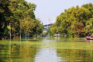 Floods in Rangsit