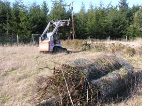 More prairie cleanup Feb 2011