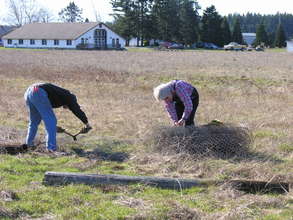 More prairie cleanup Feb 2011 1