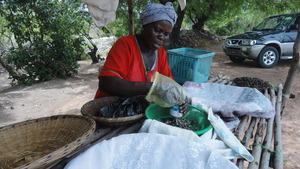 Member of TRY  selling oysters