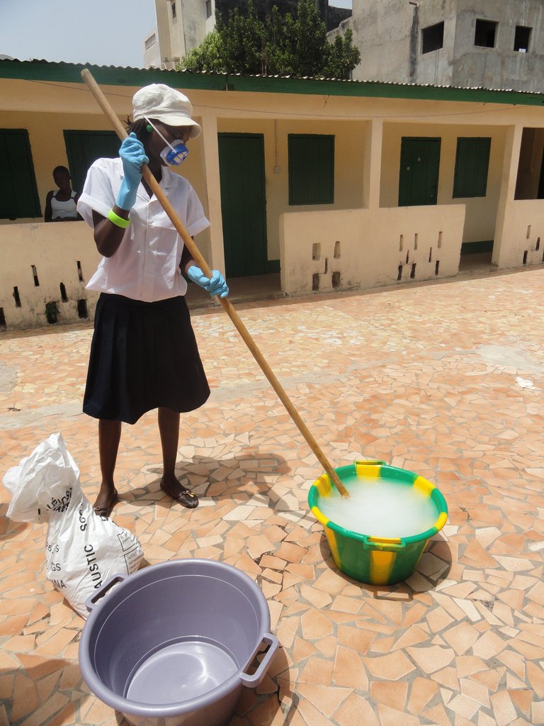 Assist 500 Gambian women to become entrepreneurs