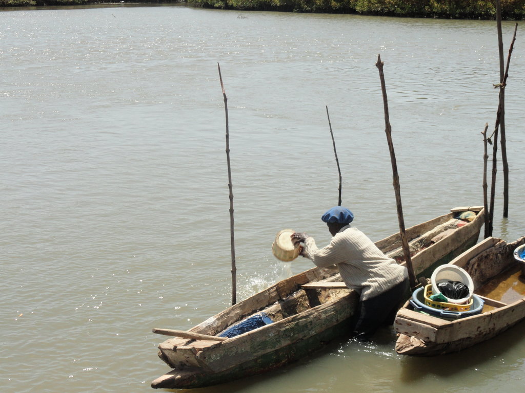Assist 500 Gambian women to become entrepreneurs