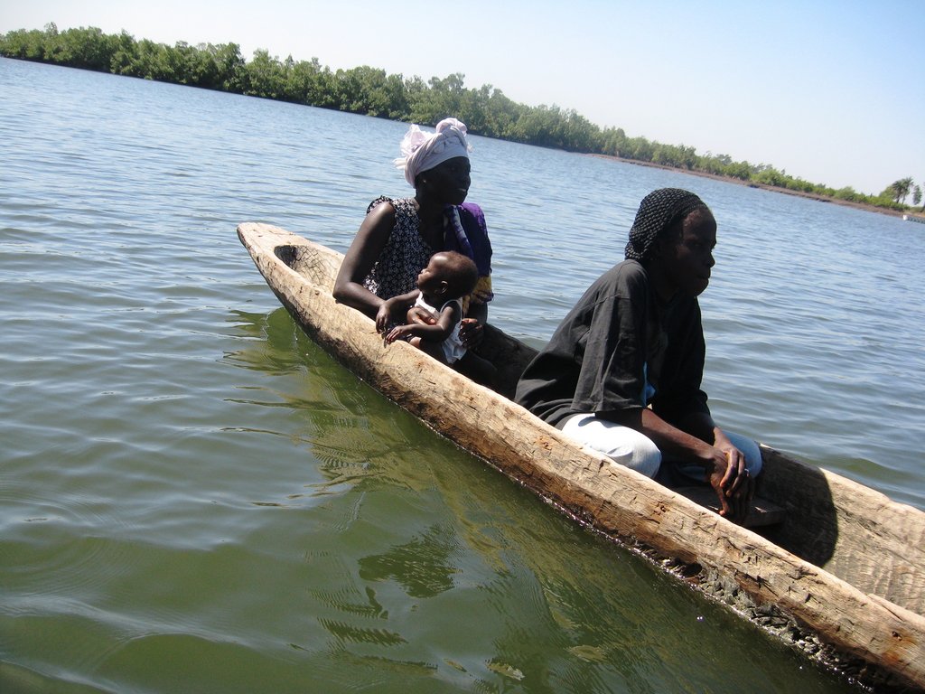Assist 500 Gambian women to become entrepreneurs
