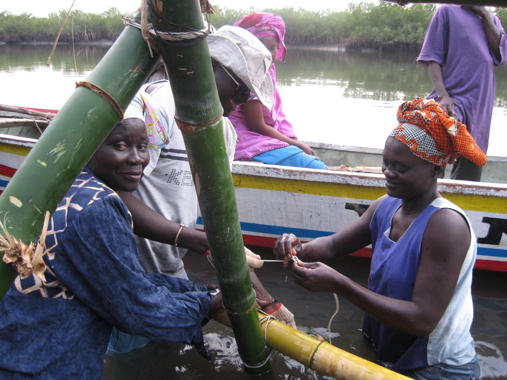 Assist 500 Gambian women to become entrepreneurs
