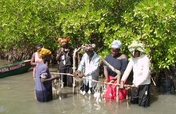Assist 500 Gambian women to become entrepreneurs 