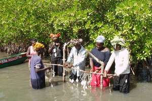 Assist 500 Gambian women to become entrepreneurs