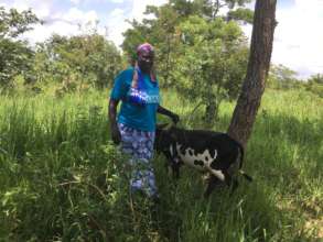 Hellen with a cow she purchased using her credit