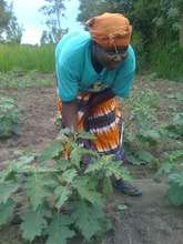 Women Farmers, feeding their communities