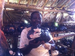 growing mushrooms in Gulu