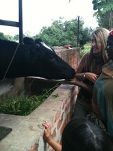 animal husbandry
