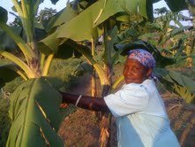 Microfinance & Empowerment Programs In Gulu