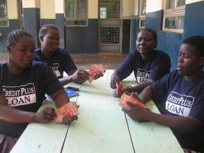 Mego Kot group