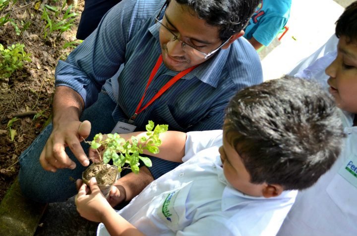 School children learning to plant trees