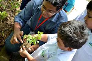 School children learning to plant trees