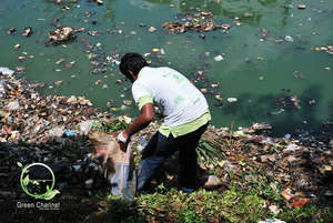 Lake Side clean up