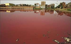 Water Pollution