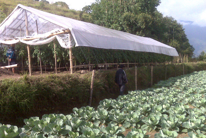Local tourism & youth microfinance for employment