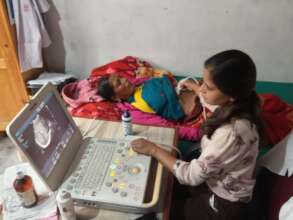 Maternal care