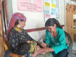 Maternal care