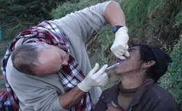 Dentist at Work