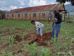 Digging trenches for water pipes