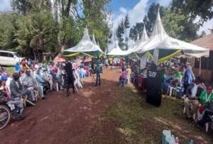 International Day event