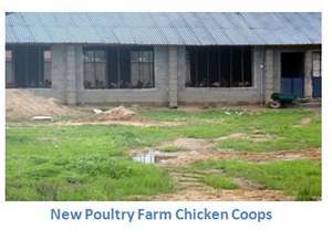 New Chicken Coups at the farm