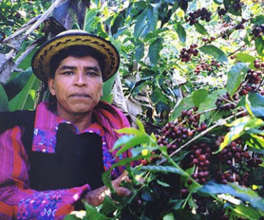 An example of a coffee farmer from Guatemala.