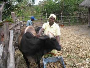 Copperbelt Livelihood Enhancement Project - Zambia