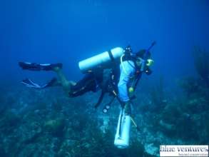 Team member conducting lionfish survey
