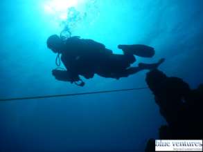Blue Ventures surveyor running a transect line