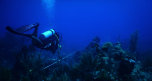 photo by Turneffe Atoll Sustainability Association