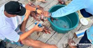 Brigade members collect data on lionfish removed