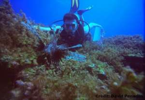 Hunting the predator