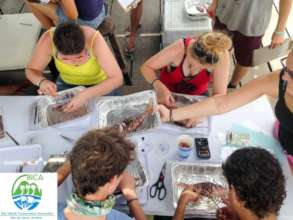 Working together to analyze the lionfish