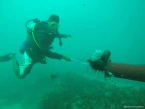 community member hunting lionfish