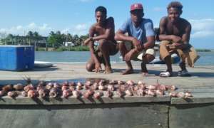 largest catch