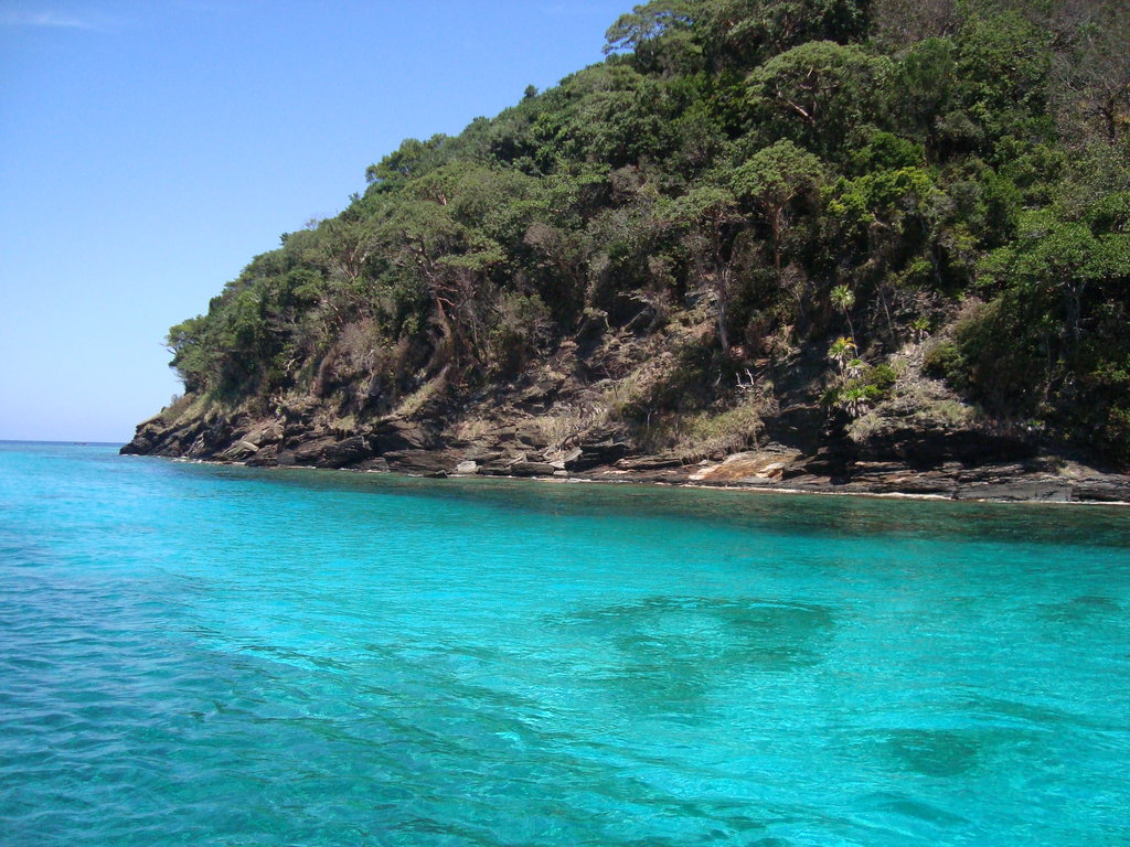Control of Lionfish in the Mesoamerican Reef